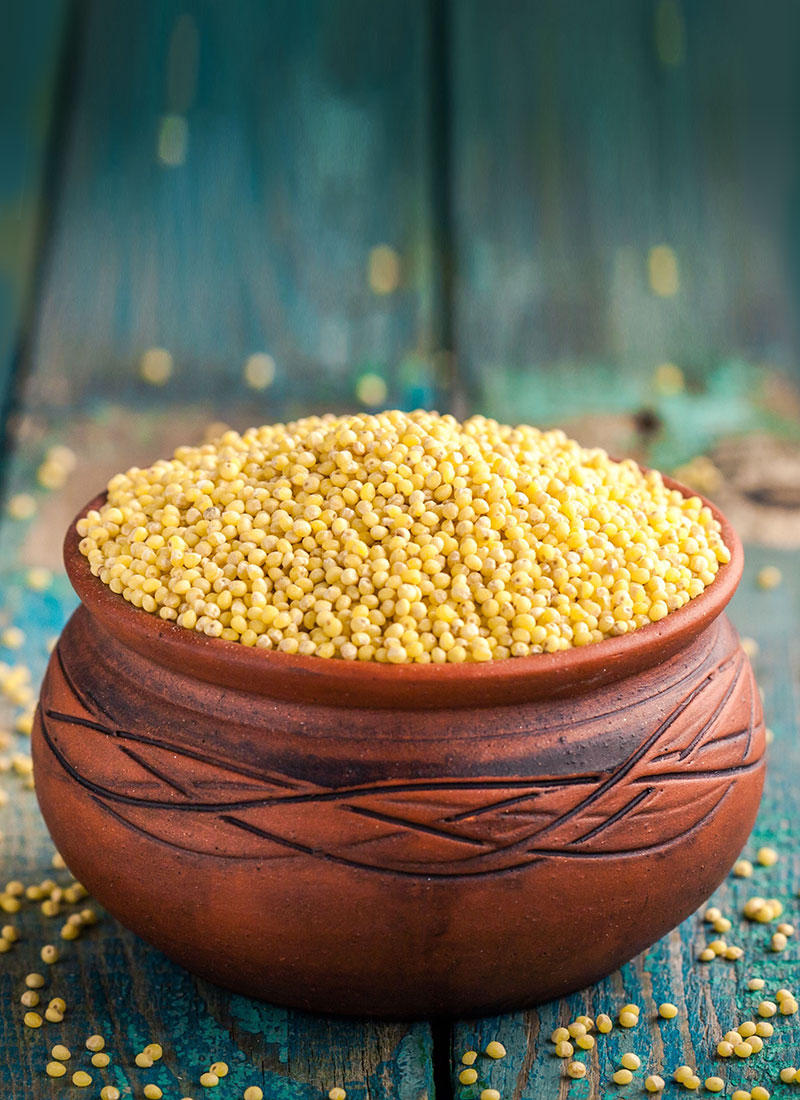 About Little Millets